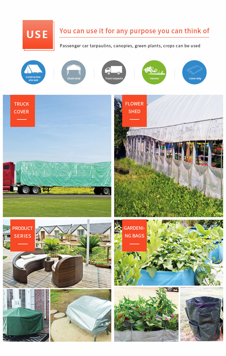 سيناريو التطبيق