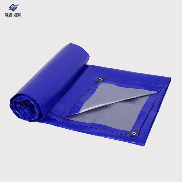 Blue/Silver Heavy Duty Dick Duty Pe Tlapaulin