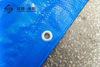 TANT BLUE POLY TARP