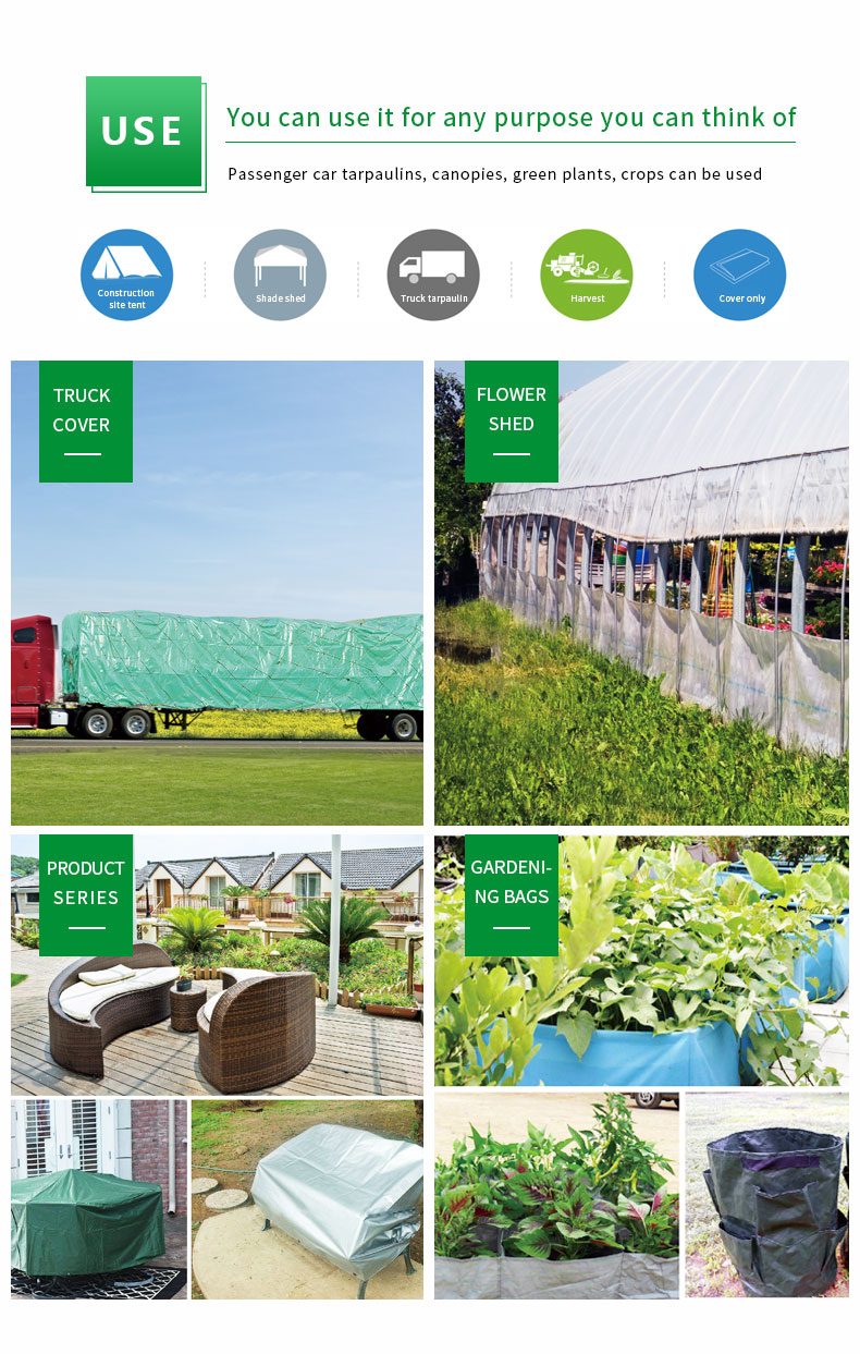 سيناريو التطبيق