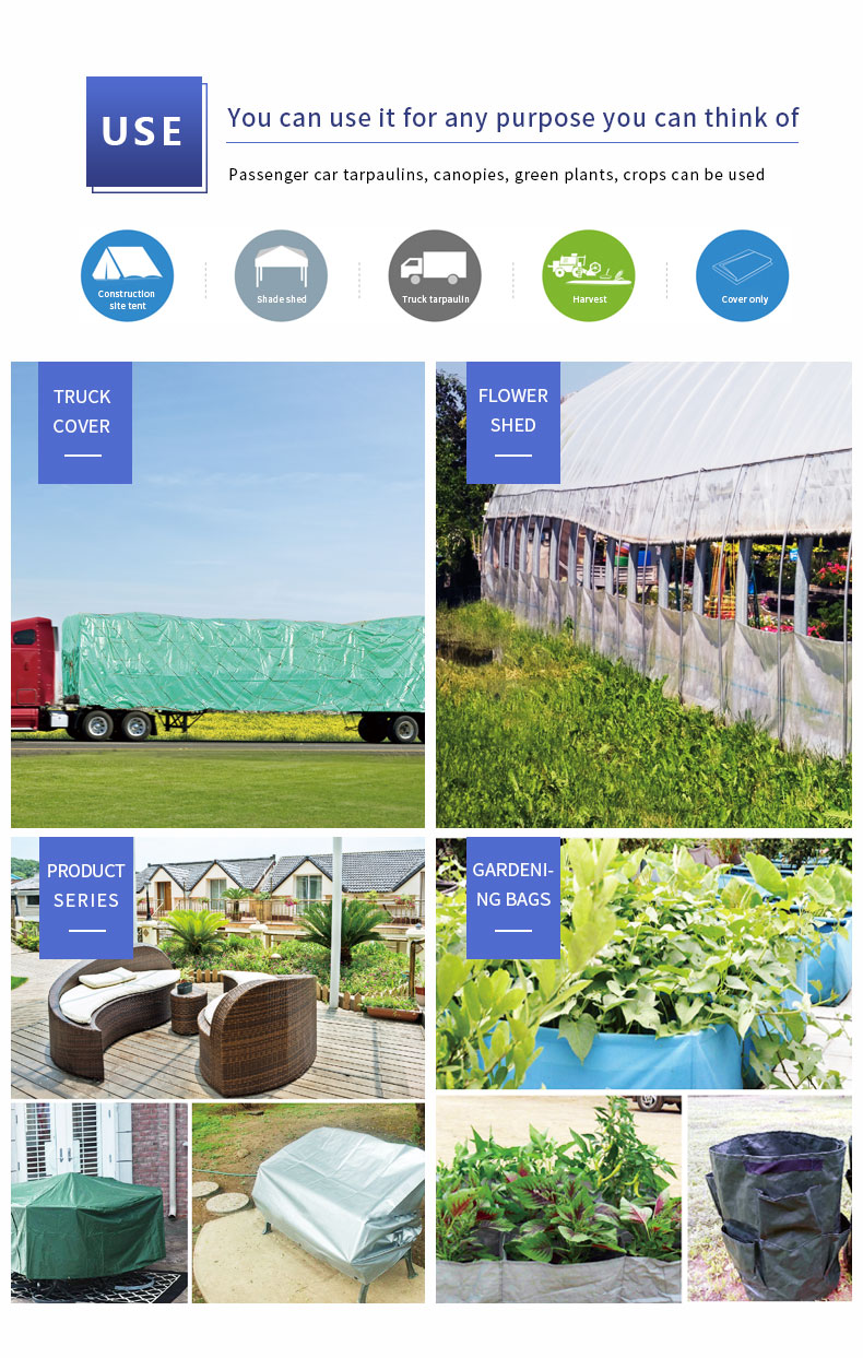 سيناريو التطبيق