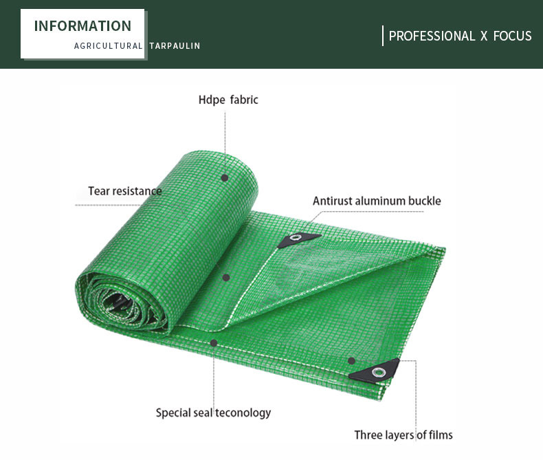 التركيز الاحترافي &times;