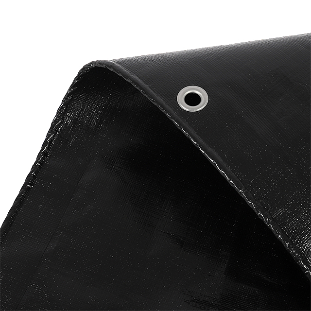 ورقة التجفيف