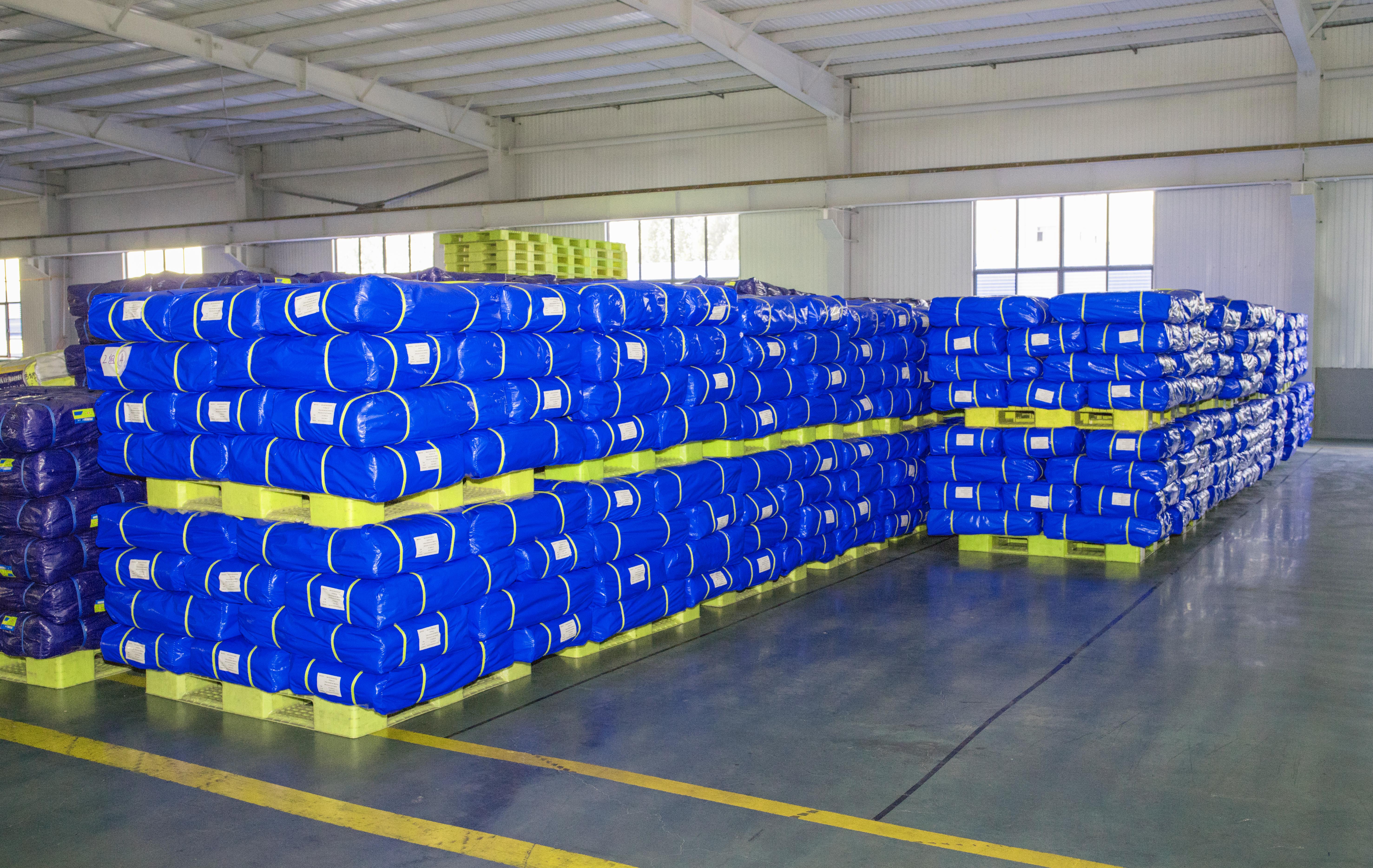 الصورة_20240319140001