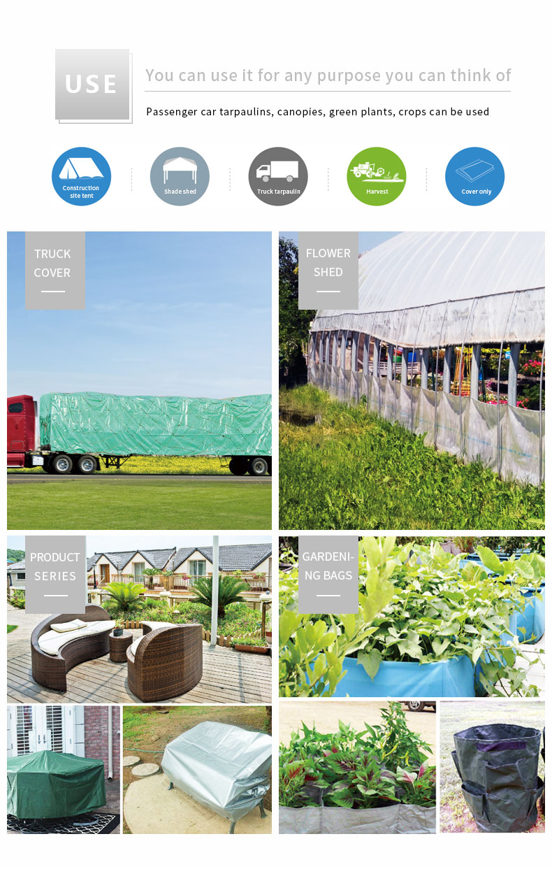 سيناريو التطبيق