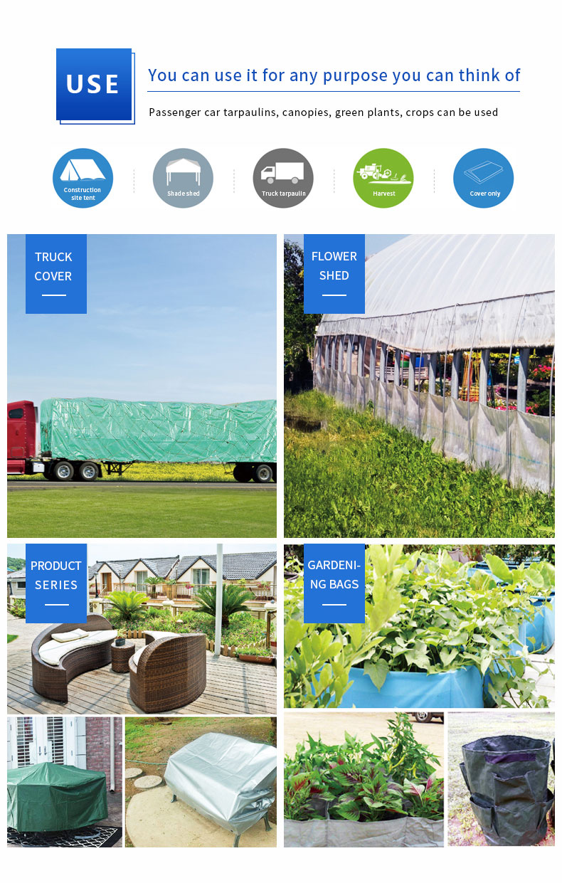 سيناريو التطبيق