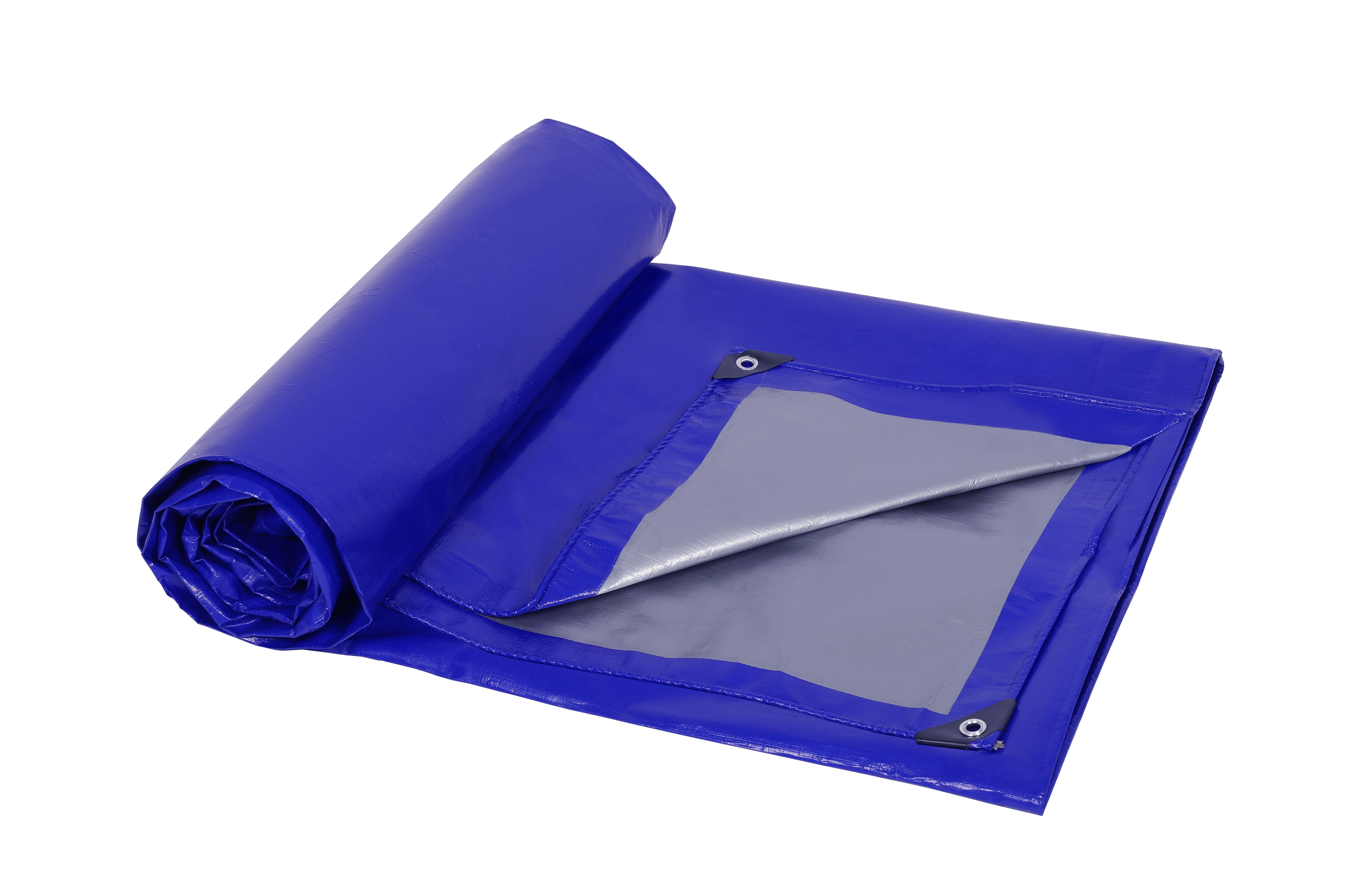 الصورة_20240315113049