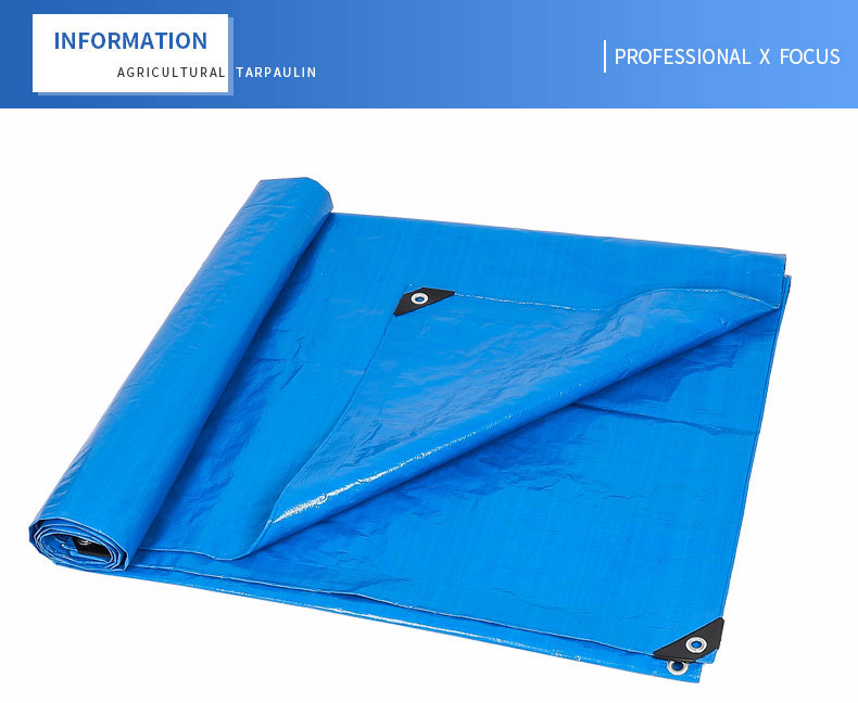 التركيز الاحترافي &times;