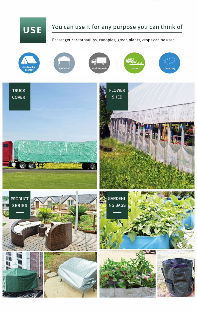 سيناريو التطبيق