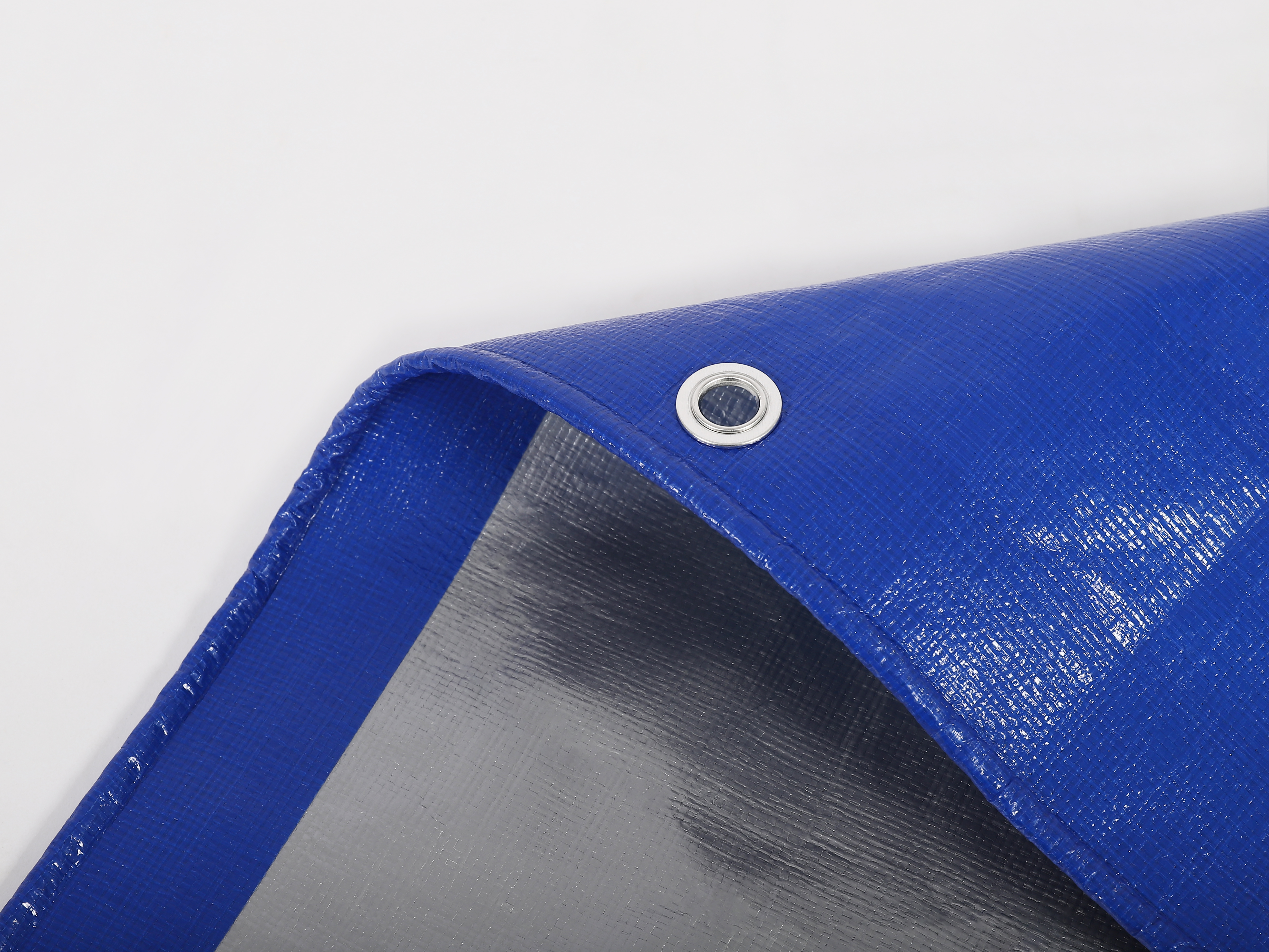 الصورة_20240315124921