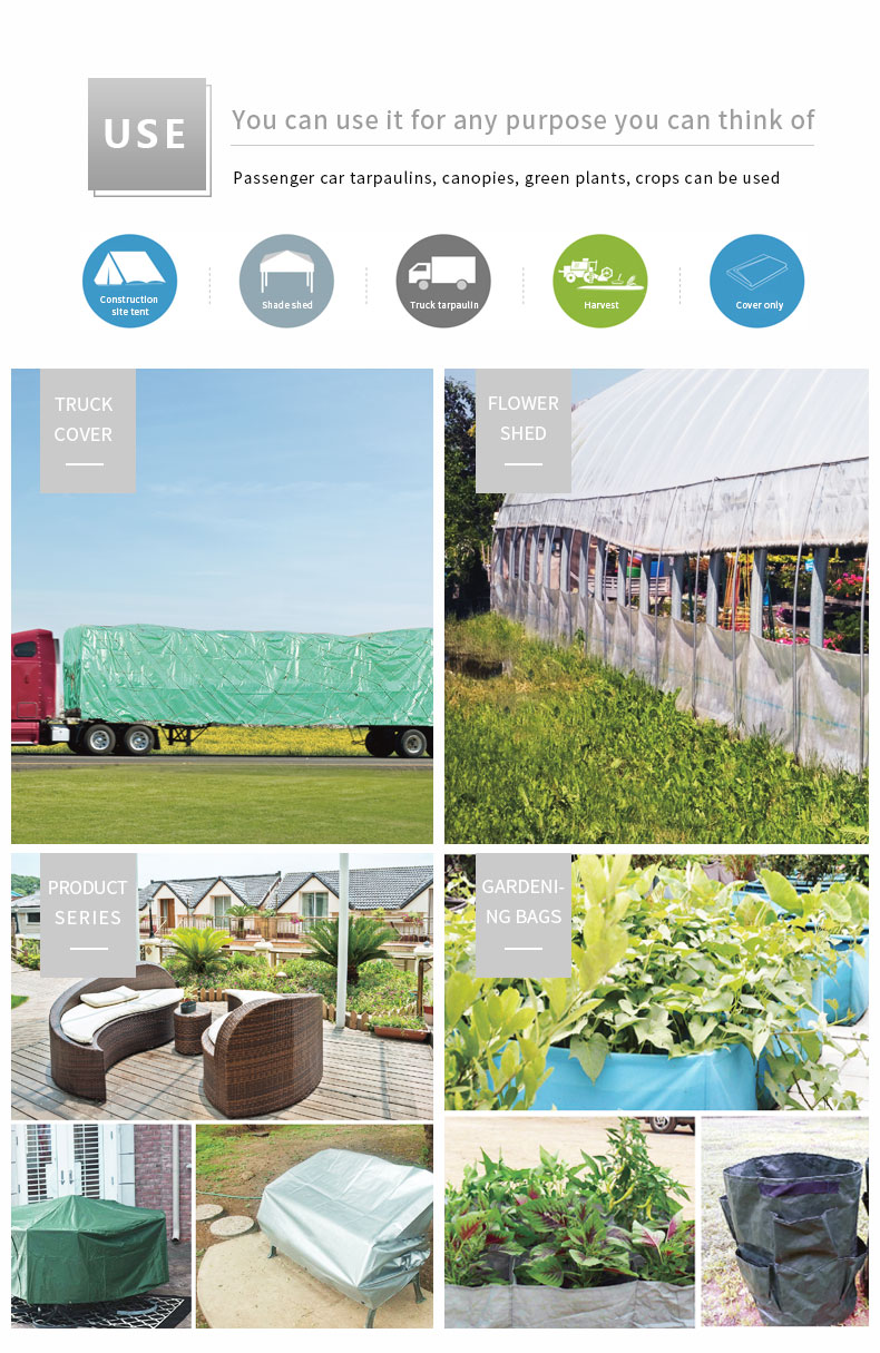 سيناريو التطبيق