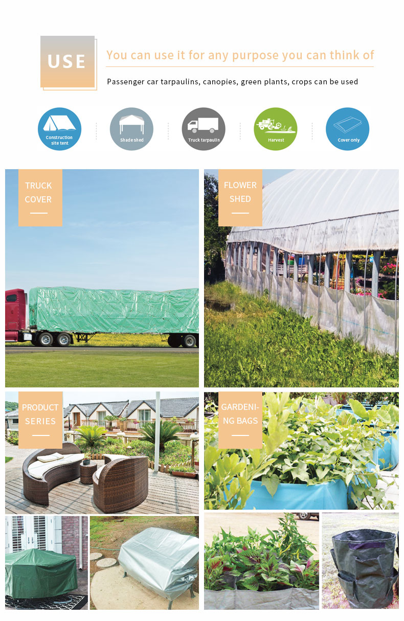 سيناريو التطبيق