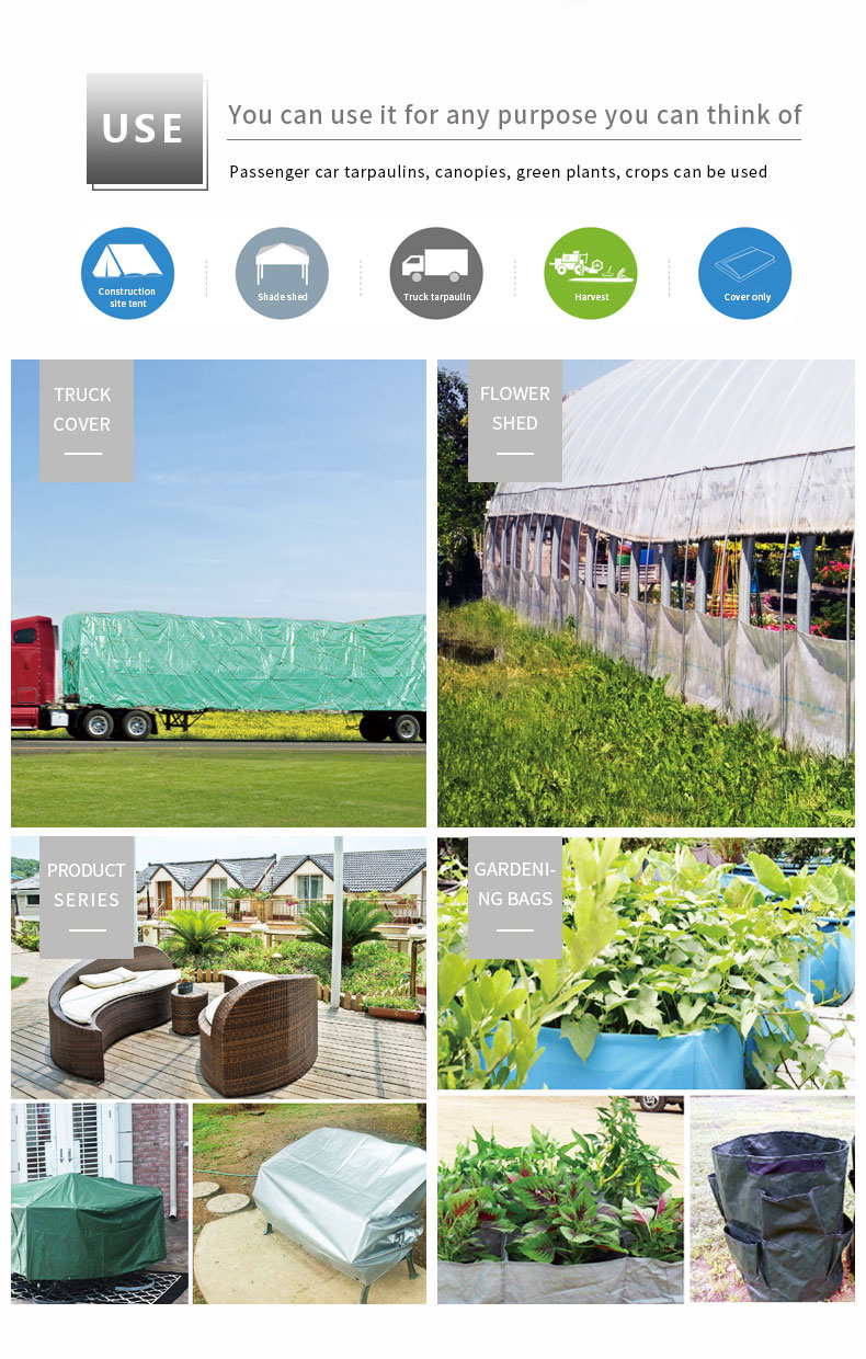 سيناريو التطبيق