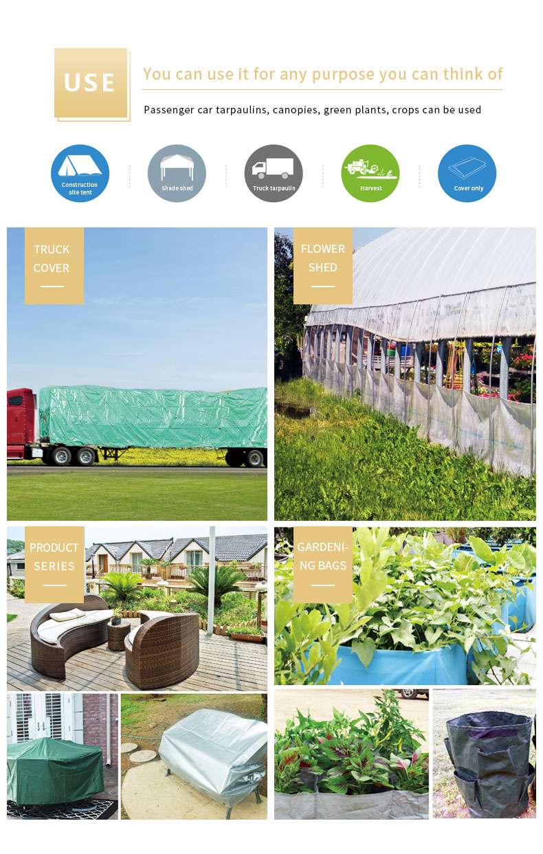 سيناريو التطبيق