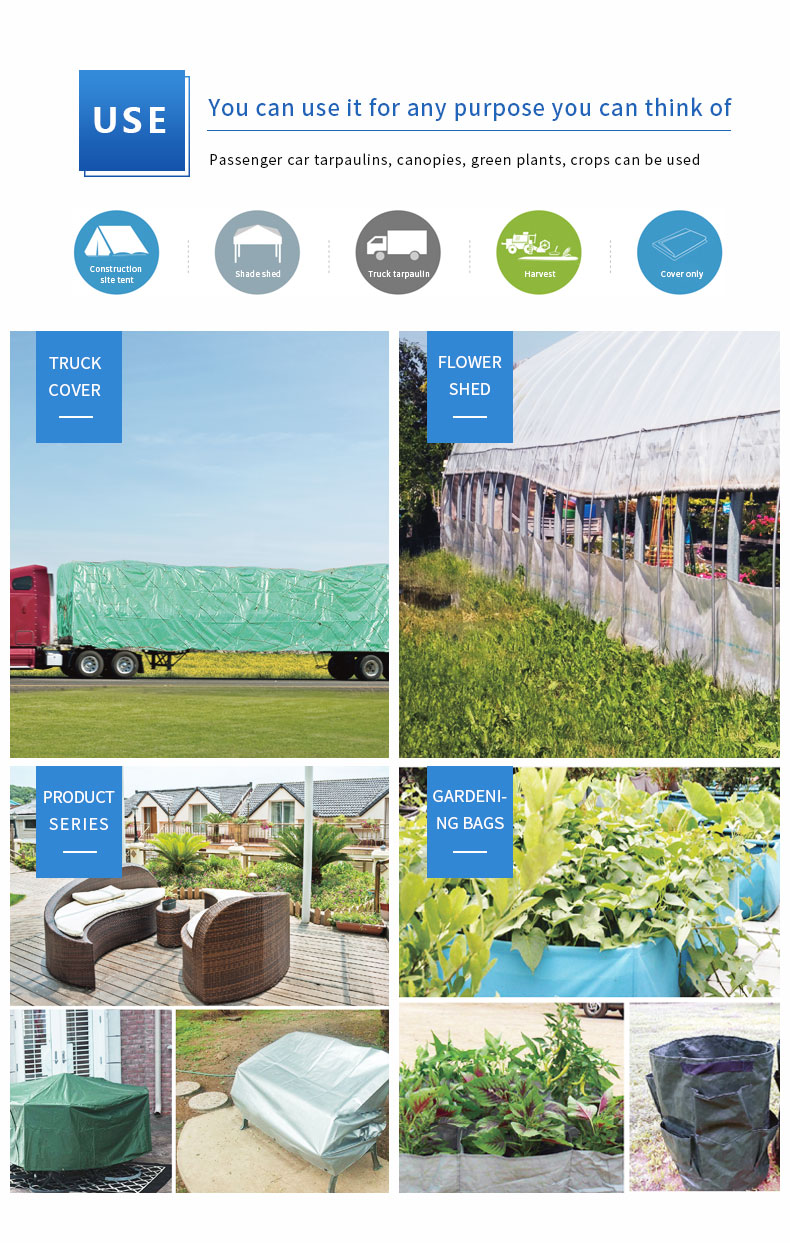 سيناريو التطبيق