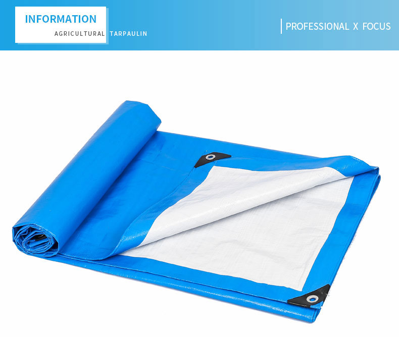 التركيز الاحترافي &times;