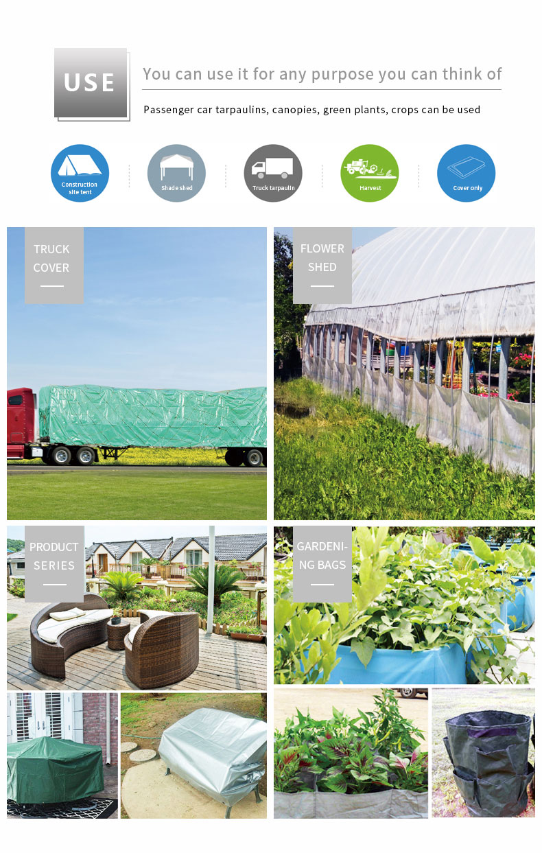 سيناريو التطبيق