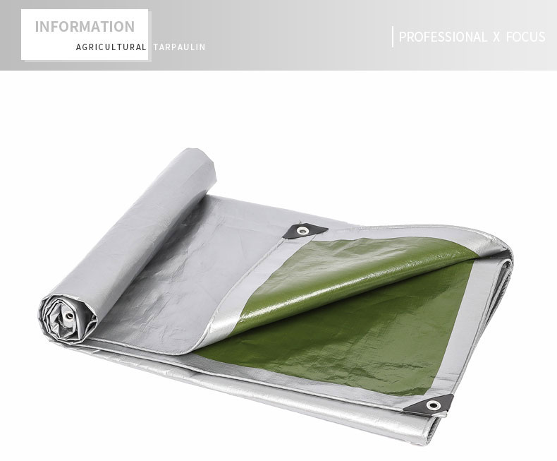 التركيز الاحترافي &times;