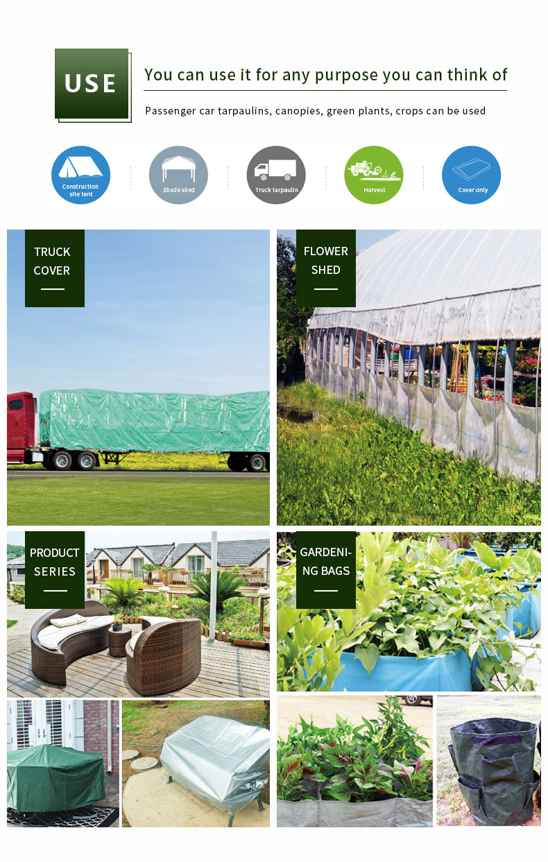 سيناريو التطبيق