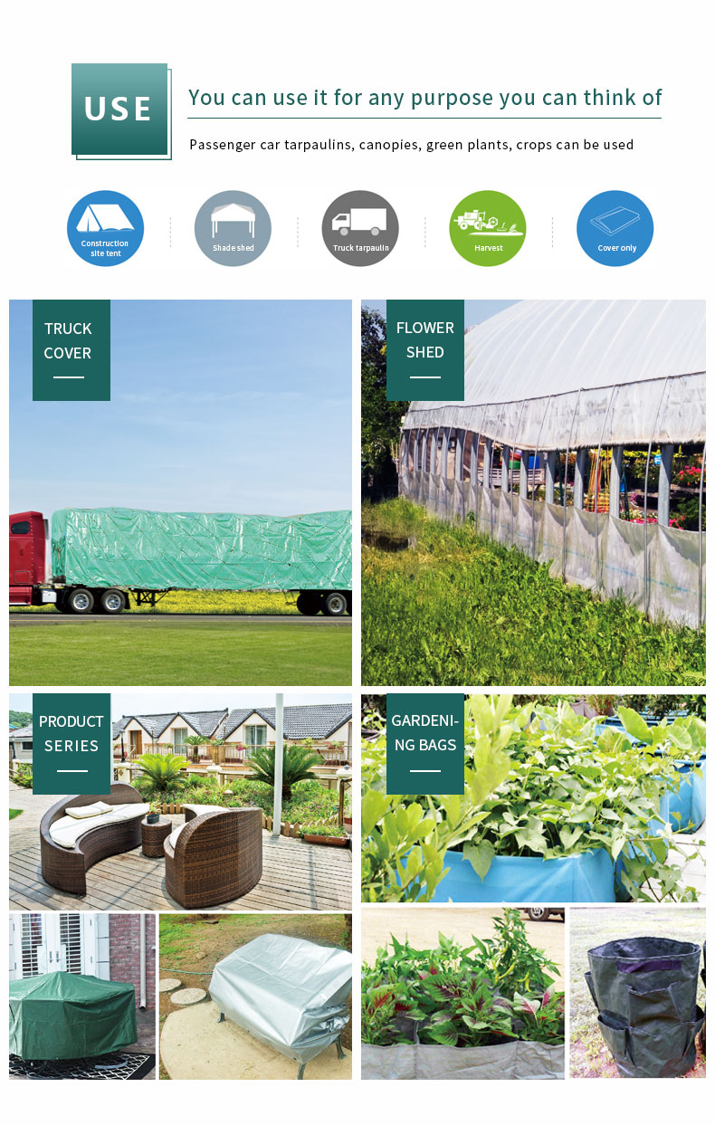 سيناريو التطبيق