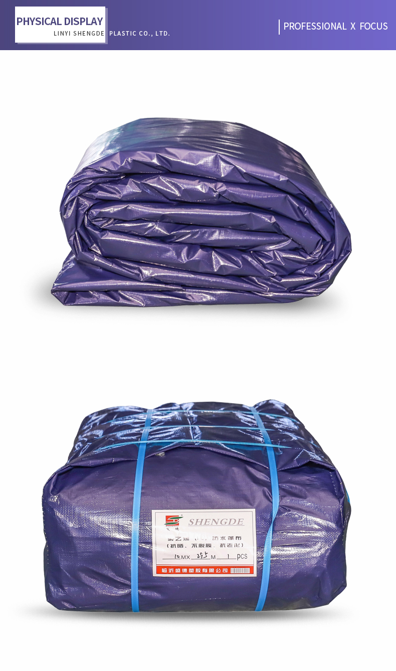 التركيز الاحترافي &times;