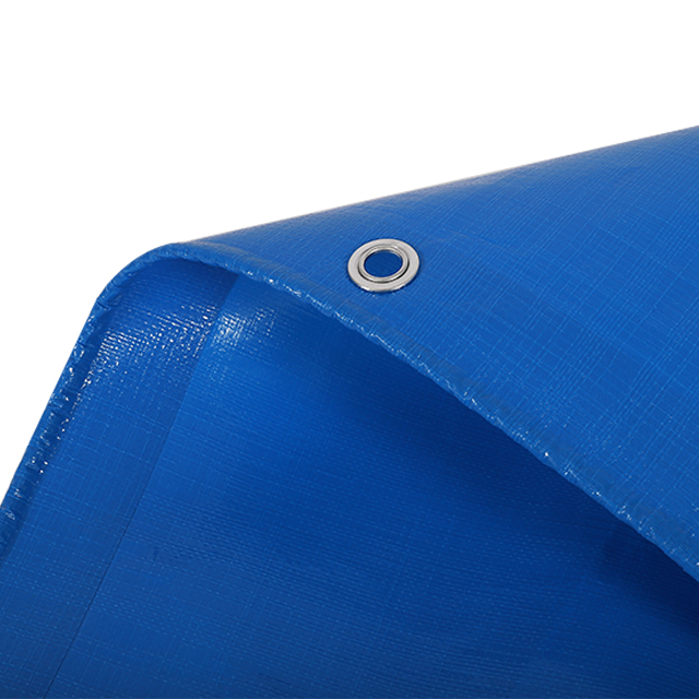 أزرق/أزرق PE القماش المشمع