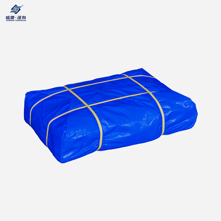 Blue/Silver Heavy Duty Dick Duty Pe Tlapaulin