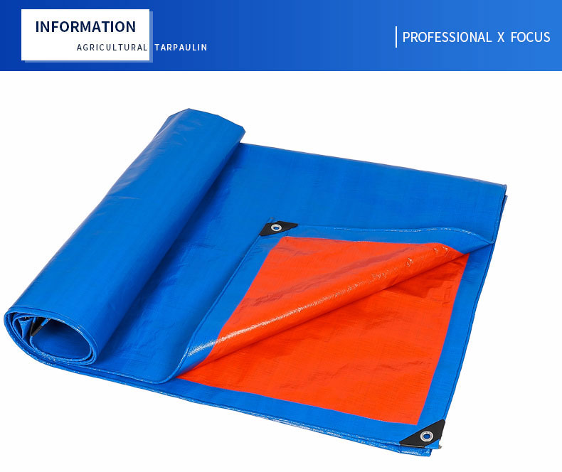 التركيز الاحترافي &times;