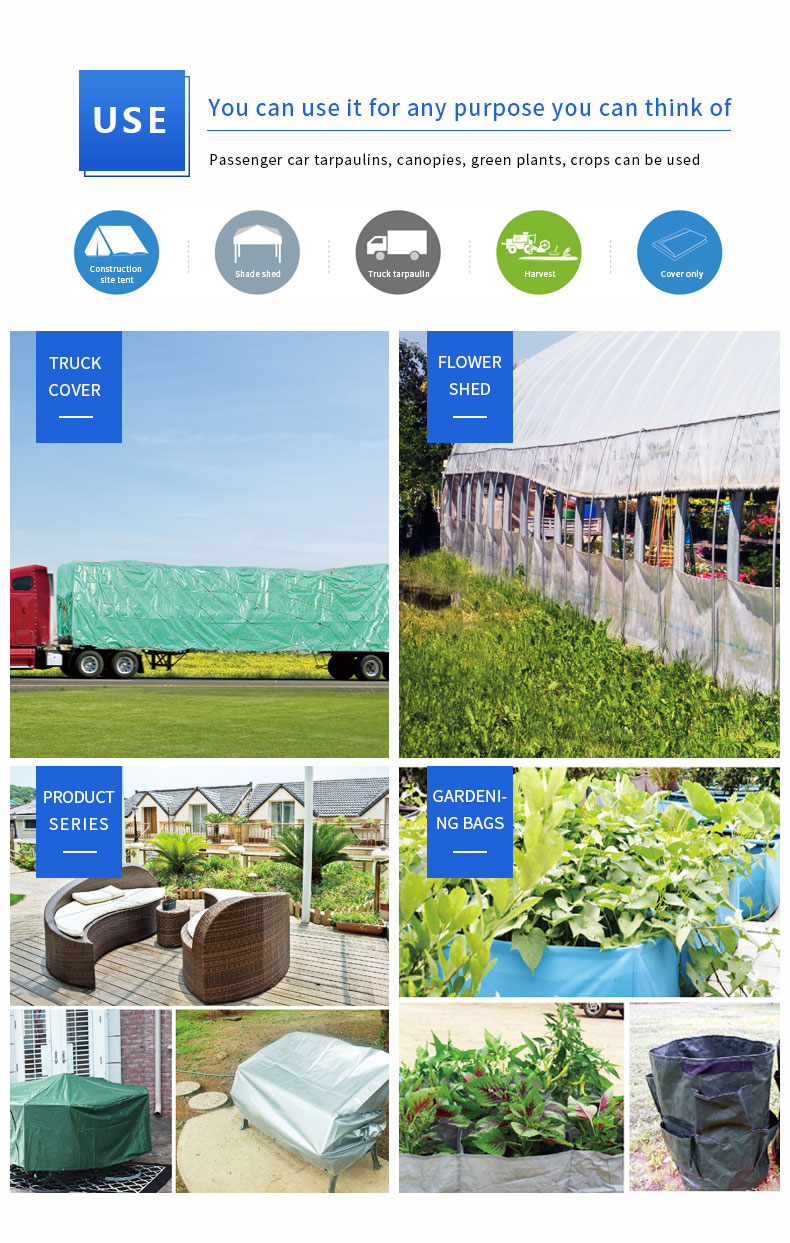 سيناريو التطبيق