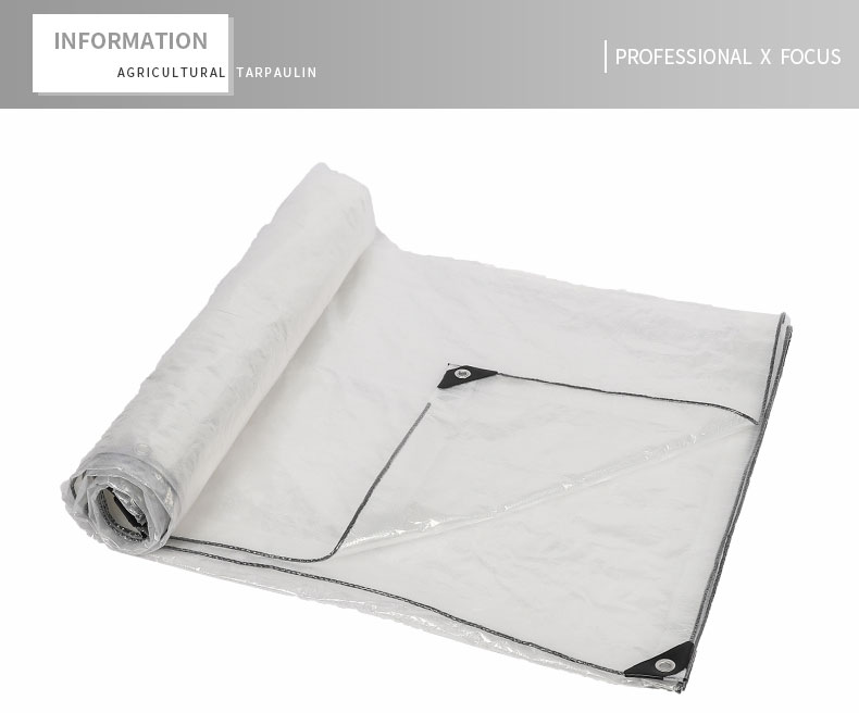 التركيز الاحترافي &times;