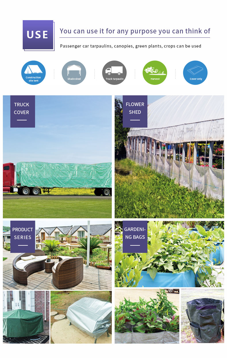 سيناريو التطبيق