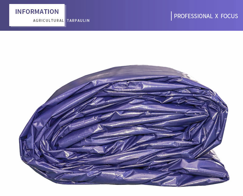 التركيز الاحترافي &times;