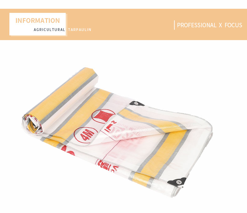 التركيز الاحترافي &times;