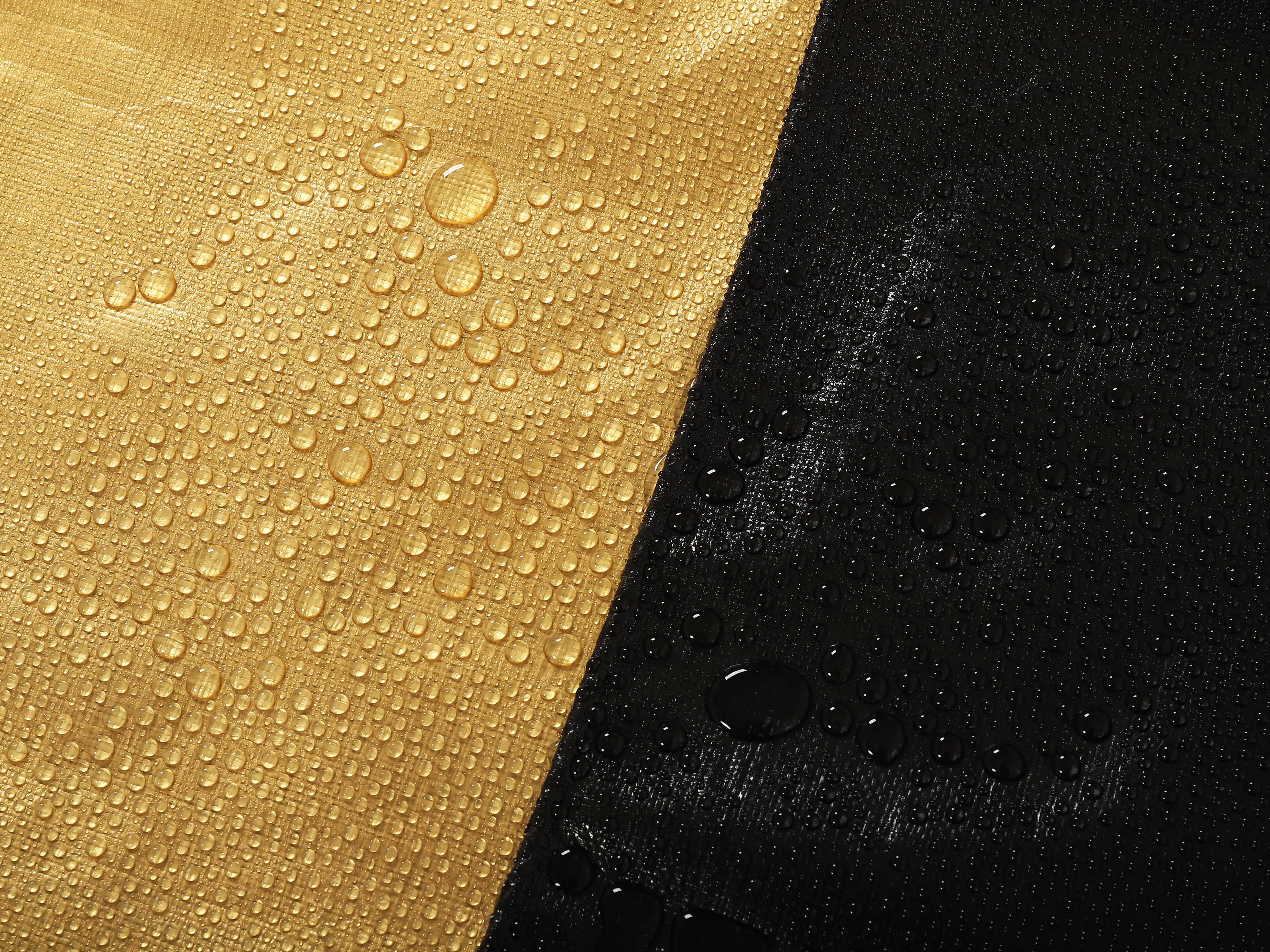 صورة_20240320090239